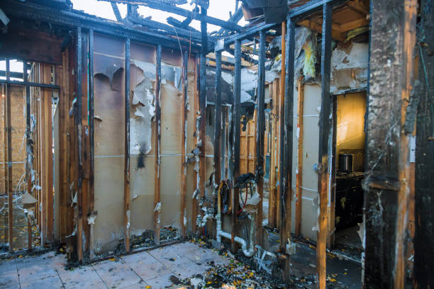 Professional Fire Damage Repair technician working in Watkins, MN